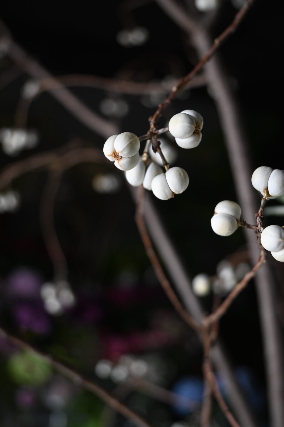 大人の花遊び 11月workshop